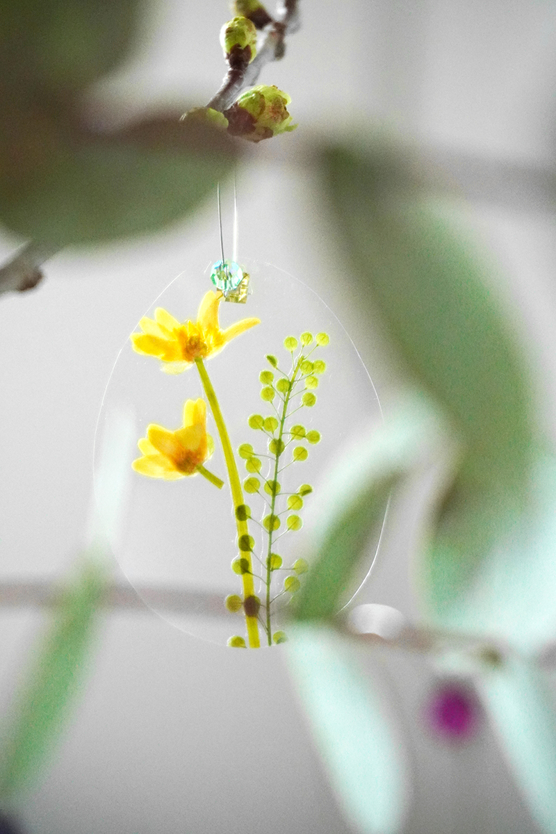 DSC00530 b web